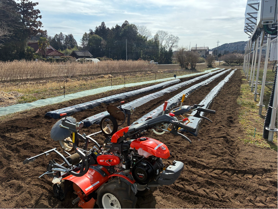 Image: Grass Roots Farm preparations to plant potatoes,, February 2026.Photo Credit: Seta Gengo/Mito Hollyhock FC