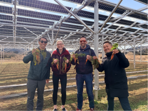 Image: L-R, Takayuki Tsujii, J.League; Claire Poole, Sport Positive; Peter Smith, Bristol City FC; Gengo Seta, Mito Hollyhock, at Mito Hollyhock’s solar sharing project. Photo credit: Sport Positive